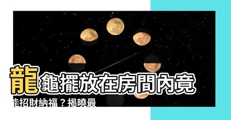 龍龜擺放房間|龍龜可以放房間嗎？ 風水專家教你擺放臥室龍龜的秘訣